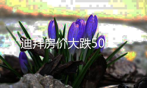 “迪拜房?jī)r(jià)大跌50%”？不屬實(shí)！部分中東家族辦公室已火速赴港，全球投資者的置業(yè)邏輯變了？