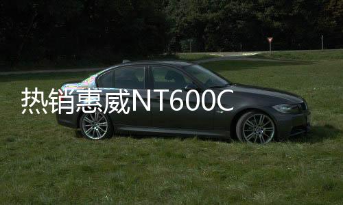 熱銷(xiāo)惠威NT600C 6.5寸汽車(chē)音響同軸喇叭車(chē)載揚(yáng)聲器無(wú)損安裝