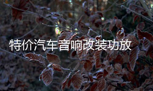 特價(jià)汽車音響改裝功放 2路二聲道功放 發(fā)燒車載功放推低音炮喇叭