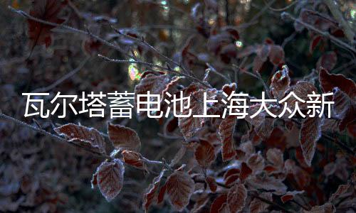 瓦爾塔蓄電池上海大眾新桑塔納途安凌渡途觀帕薩特原裝60AH電瓶