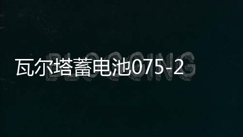 瓦爾塔蓄電池075-20適配途觀邁騰帕薩特凱迪拉克汽車電瓶 銀標(biāo)