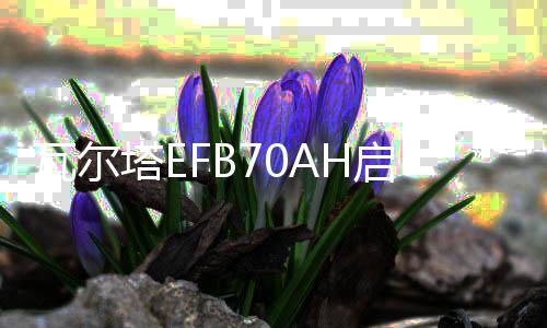瓦爾塔EFB70AH啟停蓄電池配途觀L帕薩特凌度奧迪A3Q3原裝汽車電瓶