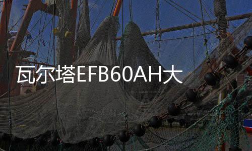 瓦爾塔EFB60AH大眾朗逸plus新寶來POLO捷達(dá)新桑塔納原裝啟停電瓶