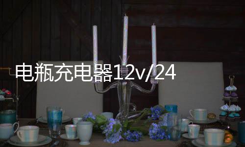 電瓶充電器12v/24v伏汽車貨車多功能大功率老式純銅蓄電池充電機(jī)