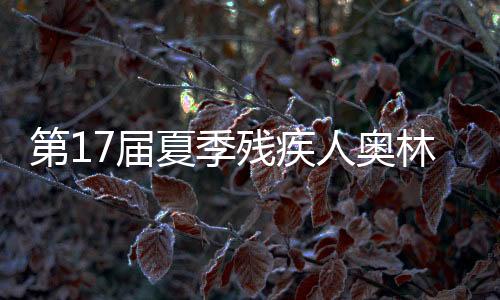 第17屆夏季殘疾人奧林匹克運動會：中國體育代表團多點開花 在多個項目上斬獲獎牌