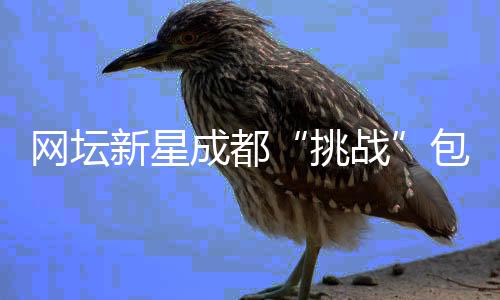 網(wǎng)壇新星成都“挑戰(zhàn)”包餃子 沉浸式體驗中國文化