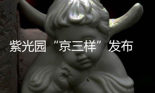 紫光園“京三樣”發(fā)布 農(nóng)業(yè)中關(guān)村食品營養(yǎng)谷打造京味傳承新范式