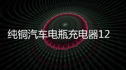 純銅汽車電瓶充電器12V24V伏大功率全智能充滿自動(dòng)停通用型多功能