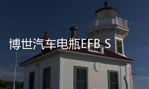 博世汽車電瓶EFB S95L適用豐田新漢蘭達(dá)凱美瑞雅力士免維護(hù)蓄電池