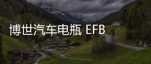 博世汽車電瓶 EFB LN2適配思域CRV雅閣XRV繽智寶來朗逸啟停蓄電池