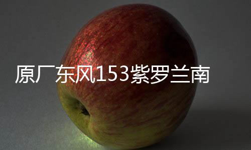 原廠東風(fēng)153紫羅蘭南駿1063小財神145大運嘉龍前大燈總成霧燈總成
