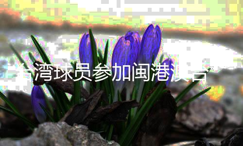 臺灣球員參加閩港澳臺“同心杯”籃球邀請賽：以球會友促交流