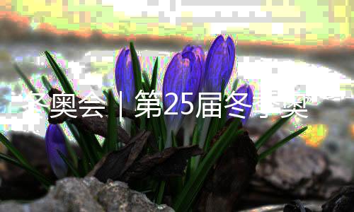 冬奧會｜第25屆冬季奧林匹克運(yùn)動會在意大利維羅納閉幕