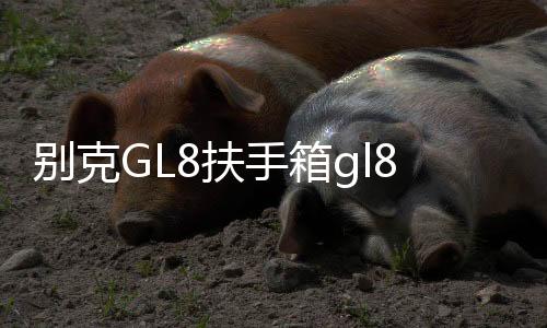 別克GL8扶手箱gl8ES 653T陸尊25s中央儲物手扶箱專用內飾改裝配件