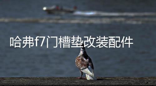哈弗f7門槽墊改裝配件哈佛f7x專用車內(nèi)裝飾品2021款汽車用品內(nèi)飾