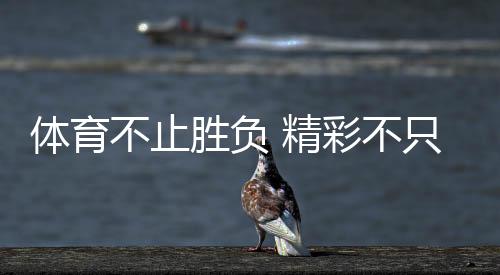 體育不止勝負(fù) 精彩不只金牌！這些動(dòng)人瞬間讓奧林匹克精神具象化