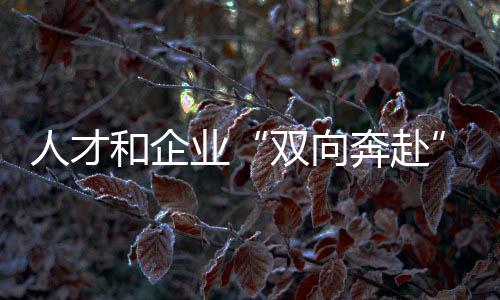 人才和企業(yè)“雙向奔赴”！全國(guó)青年職業(yè)技能大賽學(xué)生組決賽閉幕
