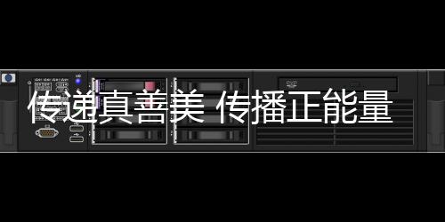 傳遞真善美 傳播正能量——志愿精神光耀殘?zhí)貖W會(huì)