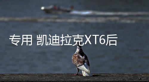 專用 凱迪拉克XT6后備箱網儲物網兜固定行李車載收納尾箱改裝配件