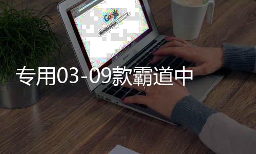 專用03-09款霸道中網(wǎng)改裝 普拉多中網(wǎng)飾條亮條裝飾 配件 彩條