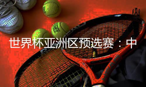 世界杯亞洲區(qū)預(yù)選賽:中國(guó)隊(duì)與新加坡隊(duì)舉行賽前新聞發(fā)布會(huì)