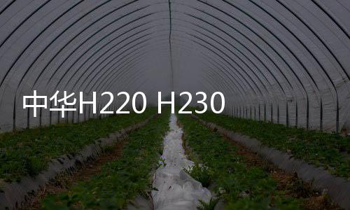 中華H220 H230專用中控儀表臺(tái)避光墊汽車裝飾改裝配件防曬遮光墊