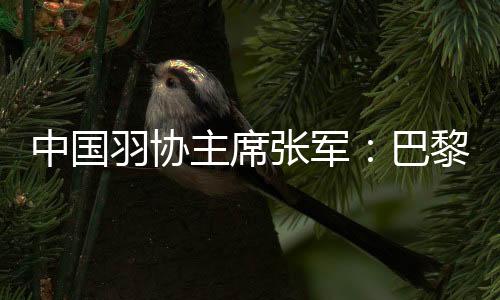 中國(guó)羽協(xié)主席張軍:巴黎奧運(yùn)會(huì)爭(zhēng)金奪銀更有信心
