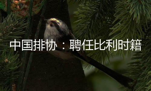 中國排協(xié)：聘任比利時籍教練維塔爾·海寧為中國男排主教練