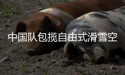 中國隊包攬自由式滑雪空中技巧世界杯云頂站混合團體金銀牌