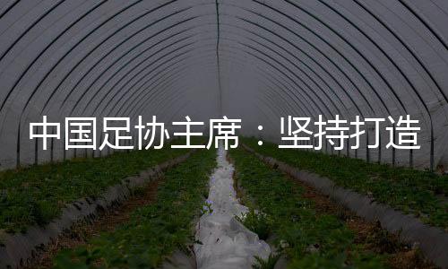 中國足協(xié)主席：堅持打造亞洲一流聯(lián)賽和百年俱樂部