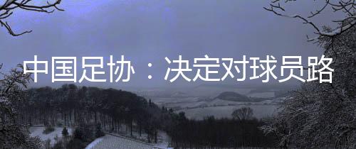 中國足協：決定對球員路俊偉停賽三場，罰款1.5萬元
