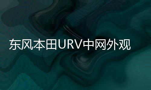 東風(fēng)本田URV中網(wǎng)外觀改裝件前臉保險(xiǎn)杠專用裝飾亮條配件汽車用品