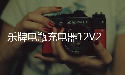 樂牌電瓶充電器12V24V伏純銅多功能通用大功率摩托汽車電池充電機(jī)