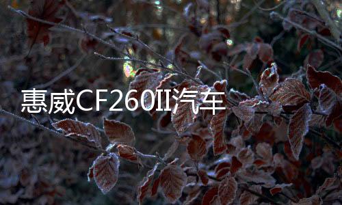 惠威CF260II汽車音響6.5寸主機(jī)直推車載同軸喇叭高低音頭無損改裝