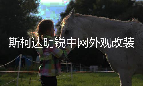 斯柯達(dá)明銳中網(wǎng)外觀改裝配件昊銳汽車前臉保險杠專用裝飾條晶銳