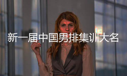 新一屆中國男排集訓(xùn)大名單公布 比利時(shí)名帥海寧出任中國隊(duì)主教練