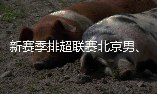 新賽季排超聯(lián)賽北京男、女排回歸主場光彩體育館