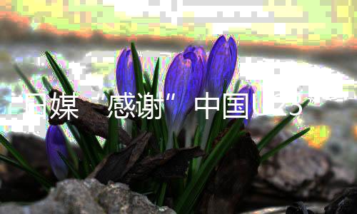 日媒“感謝”中國U23男足 批己方球員傷人動作“丟臉”