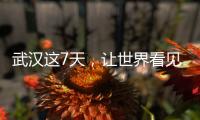 武漢這7天，讓世界看見(jiàn)“無(wú)畏金蘭”