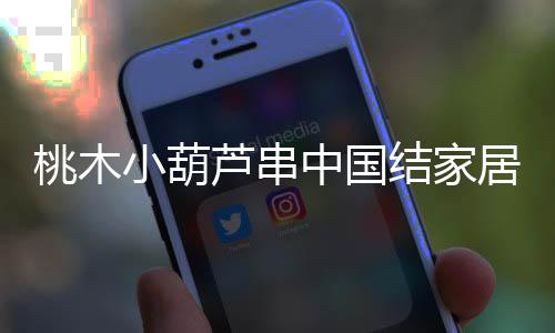 桃木小葫蘆串中國結(jié)家居客廳汽車掛件平安納福八寶葫蘆隨身攜帶