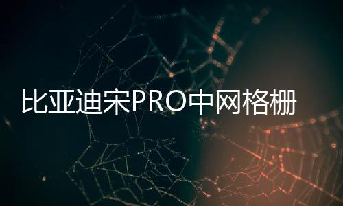 比亞迪宋PRO中網(wǎng)格柵外觀改裝件宋PLUS爆改前臉專用裝飾亮條配件