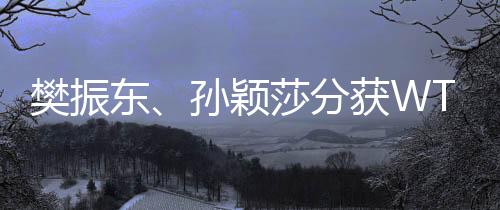 樊振東、孫穎莎分獲WTT重慶冠軍賽男女單打冠軍