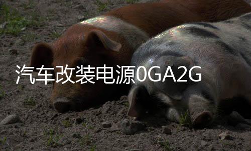 汽車(chē)改裝電源0GA2GA4GA一出一音響功放低音炮保險(xiǎn)管 大號(hào)保險(xiǎn)座