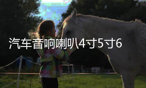 汽車音響喇叭4寸5寸6寸汽車?yán)韧S改裝全頻中高低音喇叭一對
