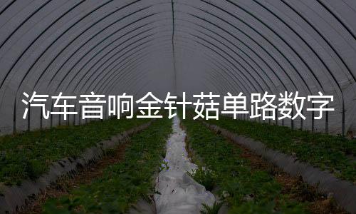 汽車(chē)音響金針菇單路數(shù)字大功率雙音圈超重純低音無(wú)源低音炮功放板