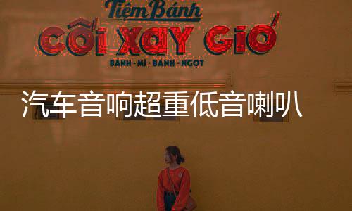 汽車音響超重低音喇叭 丹麥10寸低音喇叭12寸重低音炮雙磁雙音圈