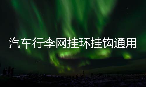 汽車行李網(wǎng)掛環(huán)掛鉤通用多功能車內(nèi)用車載后備箱網(wǎng)兜固定安裝配件