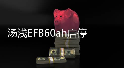 湯淺EFB60ah啟停蓄電池適配本田十代思域繽智XR-V謳歌CDX汽車電瓶