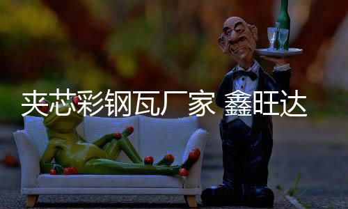 史塞克輸尿管鏡腎鏡物鏡