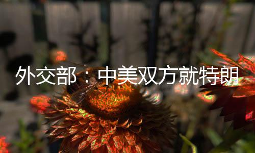 外交部:中美雙方就特朗普總統(tǒng)訪華事保持著溝通